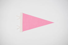 Load image into Gallery viewer, Whitefish Pennant