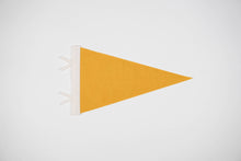 Load image into Gallery viewer, Whitefish Pennant