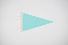 Load image into Gallery viewer, Whitefish Pennant