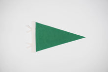 Load image into Gallery viewer, Whitefish Pennant