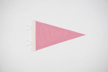 Load image into Gallery viewer, Whitefish Pennant