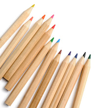 Load image into Gallery viewer, Elseware Colored Pencils - case