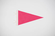 Load image into Gallery viewer, Whitefish Pennant