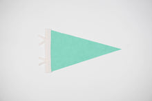 Load image into Gallery viewer, Whitefish Pennant