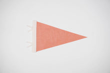 Load image into Gallery viewer, Whitefish Pennant