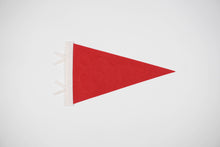 Load image into Gallery viewer, Whitefish Pennant