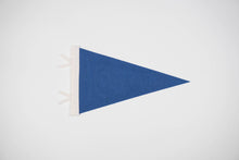 Load image into Gallery viewer, Whitefish Pennant