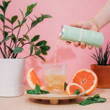 Load image into Gallery viewer, BEACHBALL Organic Iced Tea Can - Grapefruit Basil Mint