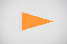 Load image into Gallery viewer, Whitefish Pennant