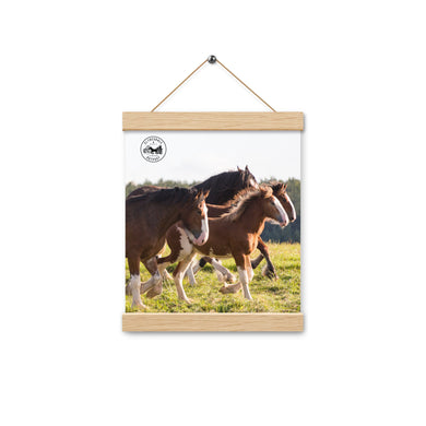 Poster with hangers
